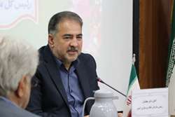 عزم وزارت بهداشت برای اصلاح نظام پرداخت و بازتوزیع عادلانه کارانه پرستاران